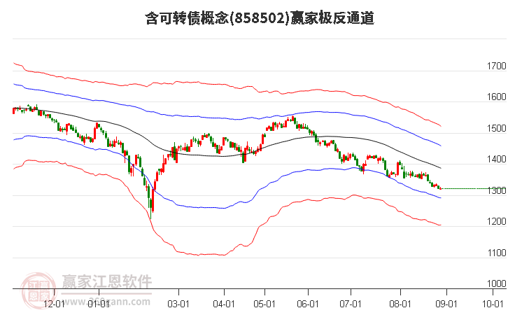 858502含可转债赢家极反通道工具