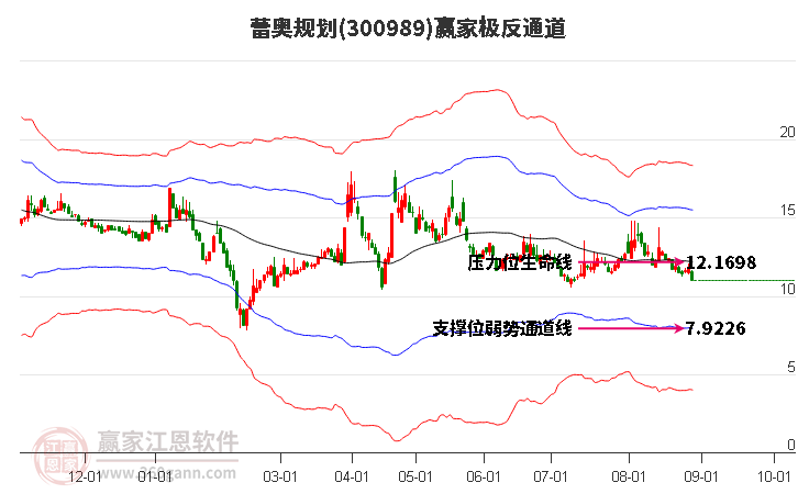 300989蕾奥规划赢家极反通道工具