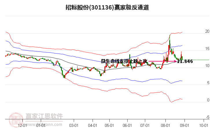 301136招标股份赢家极反通道工具