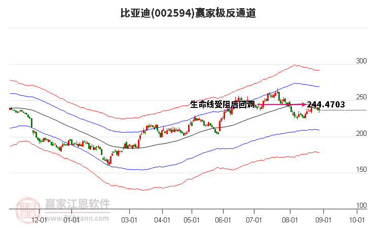 002594比亚迪赢家极反通道工具