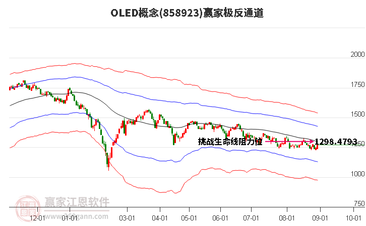 858923OLED赢家极反通道工具