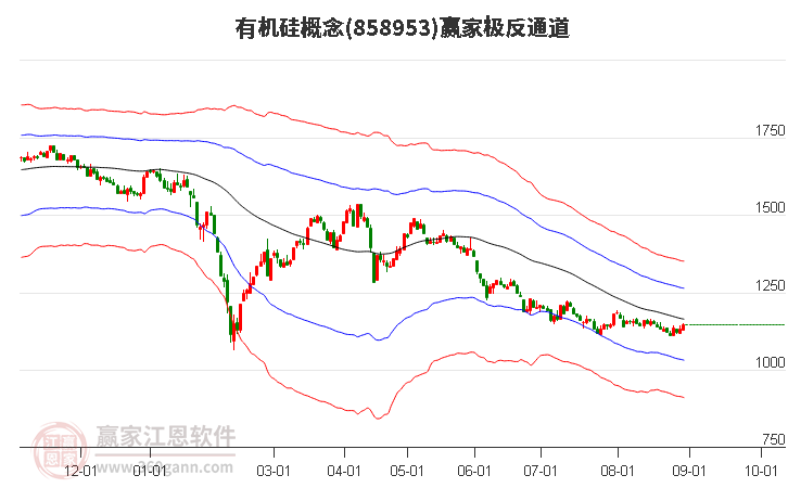 858953有机硅赢家极反通道工具