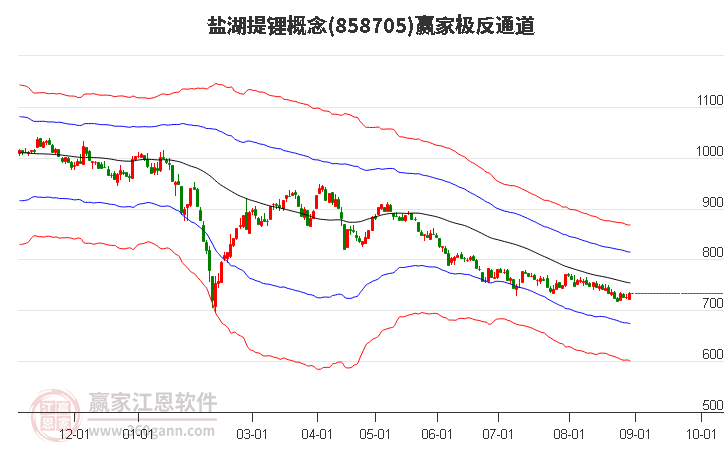 858705盐湖提锂赢家极反通道工具