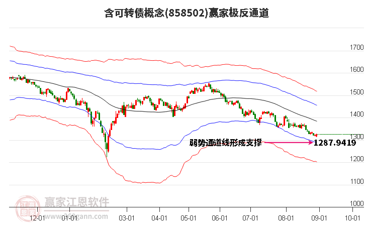 858502含可转债赢家极反通道工具