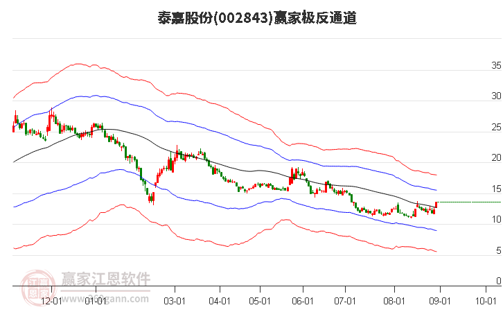 002843泰嘉股份 赢家极反通道工具