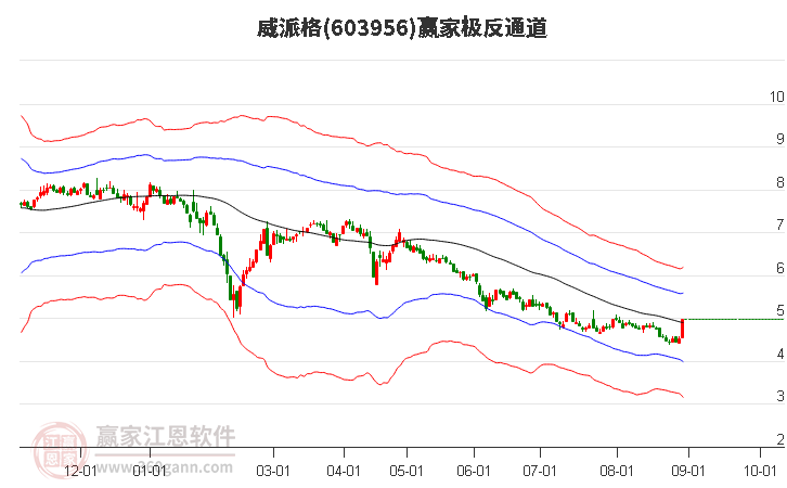 603956威派格赢家极反通道工具