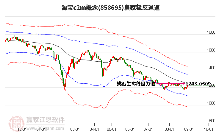 858695淘宝c2m赢家极反通道工具