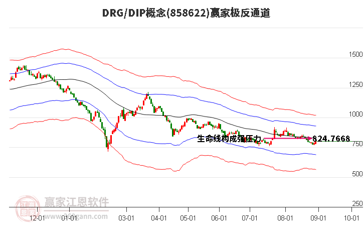 858622DRG/DIP赢家极反通道工具