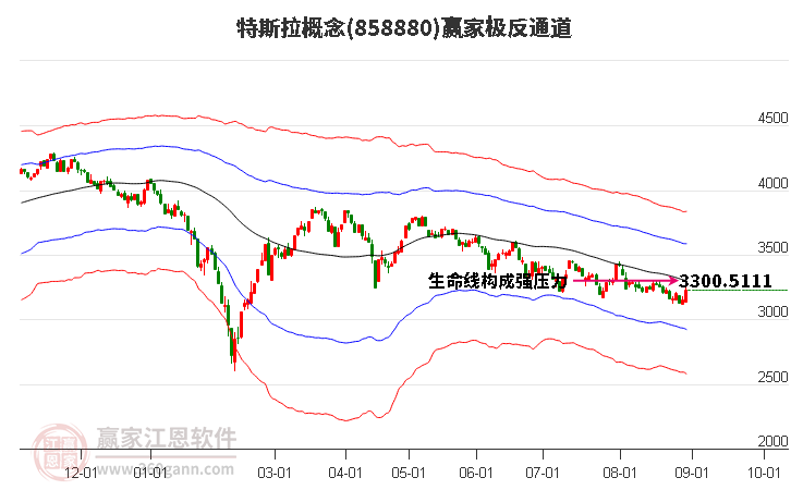 858880特斯拉赢家极反通道工具