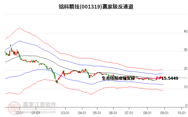 001319銘科精技贏家極反通道工具