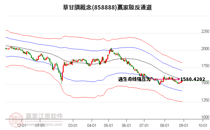 858888草甘膦赢家极反通道工具