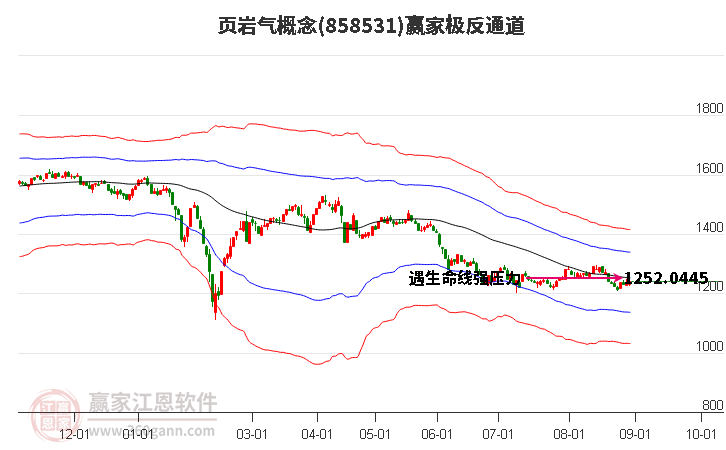 858531页岩气赢家极反通道工具