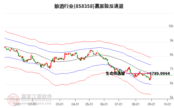 858358酿酒赢家极反通道工具