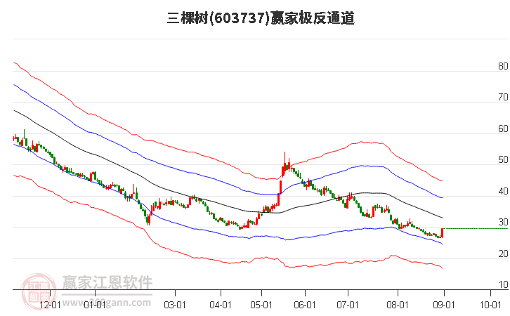 603737三棵树赢家极反通道工具