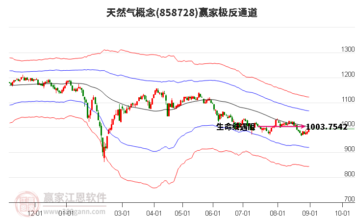 858728天然气赢家极反通道工具