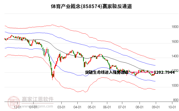 858574体育产业赢家极反通道工具