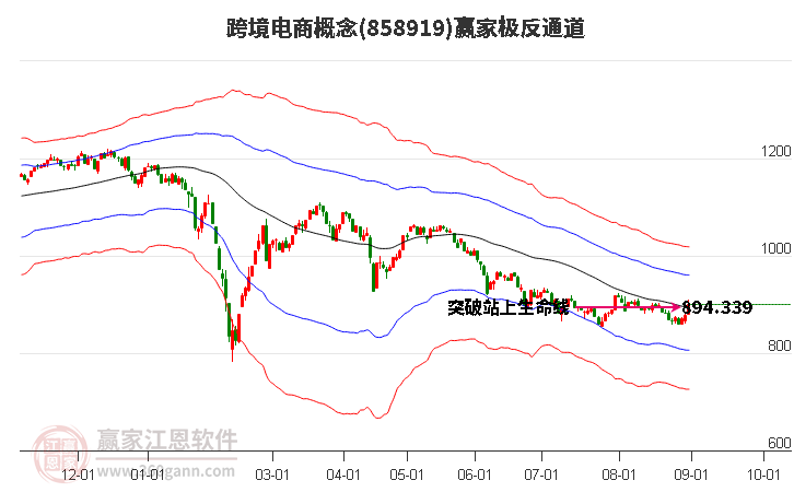 858919跨境电商赢家极反通道工具