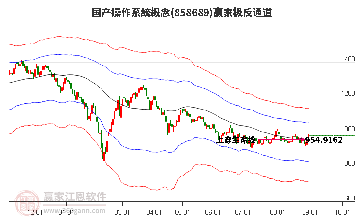 858689国产操作系统赢家极反通道工具