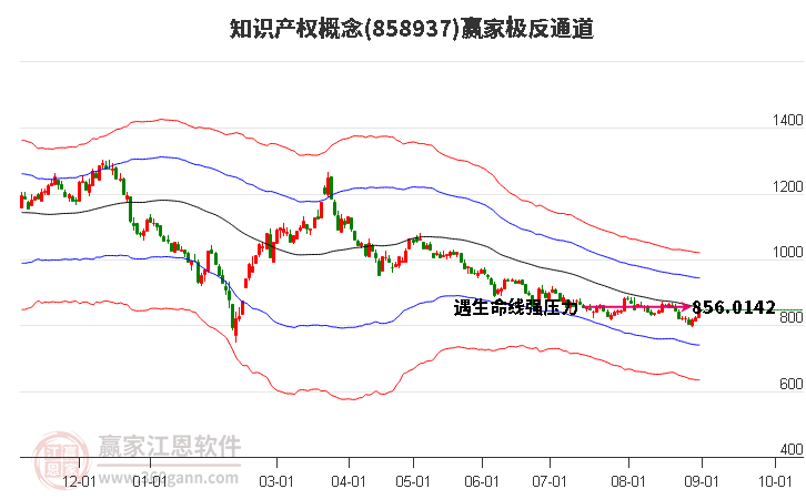 858937知识产权赢家极反通道工具