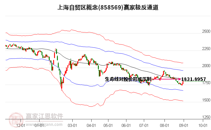 858569上海自贸区赢家极反通道工具