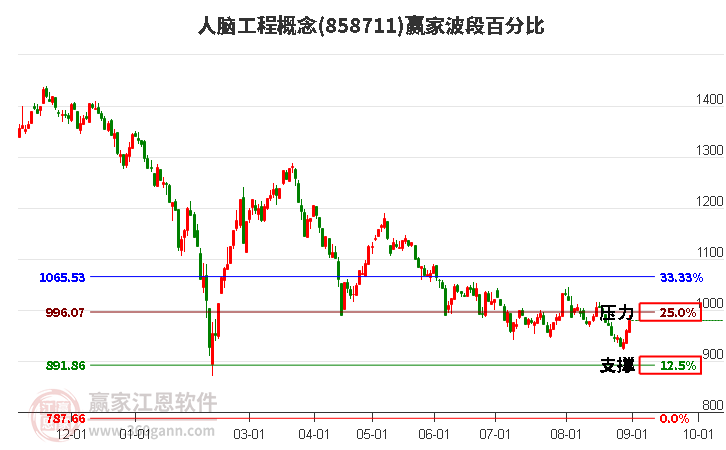 人脑工程概念赢家波段百分比工具