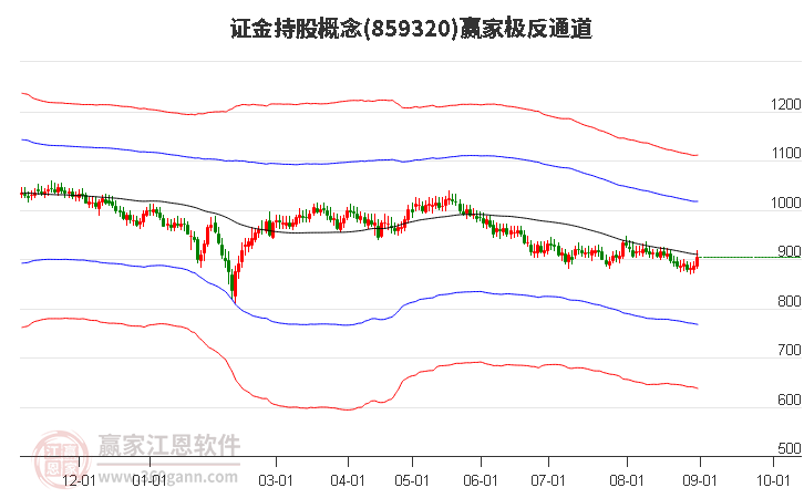 859320证金持股赢家极反通道工具