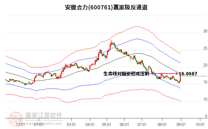 600761安徽合力赢家极反通道工具