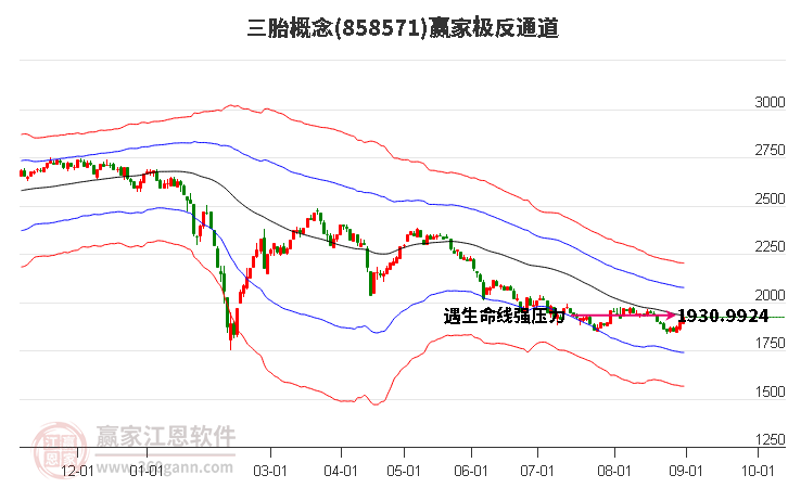 858571三胎赢家极反通道工具