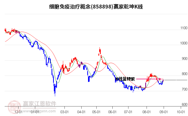 858898细胞免疫治疗赢家乾坤K线工具