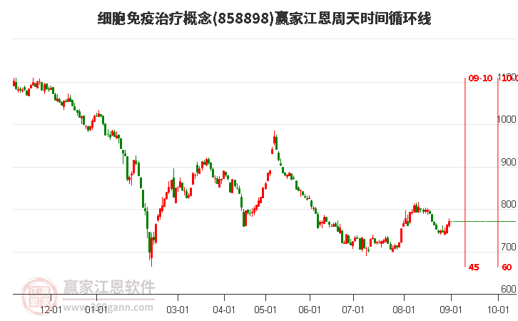 细胞免疫治疗概念赢家江恩周天时间循环线工具