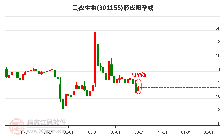 美农生物形成阳孕线形态