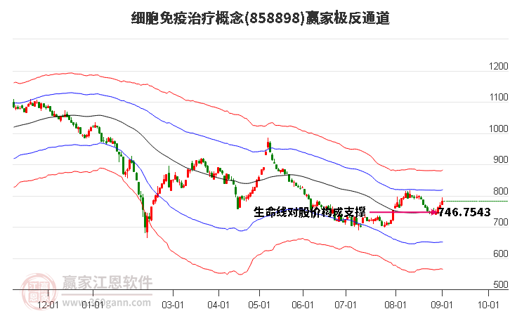 858898细胞免疫治疗赢家极反通道工具