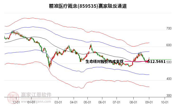 859535精准医疗赢家极反通道工具