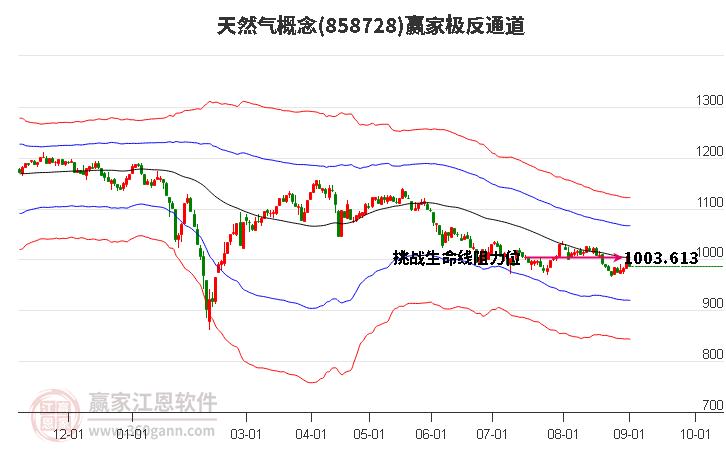 858728天然气赢家极反通道工具