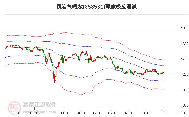 858531页岩气赢家极反通道工具