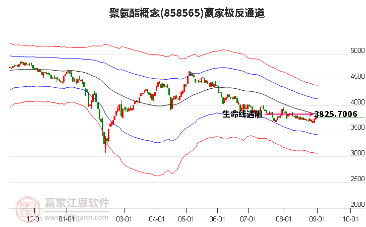 858565聚氨酯赢家极反通道工具