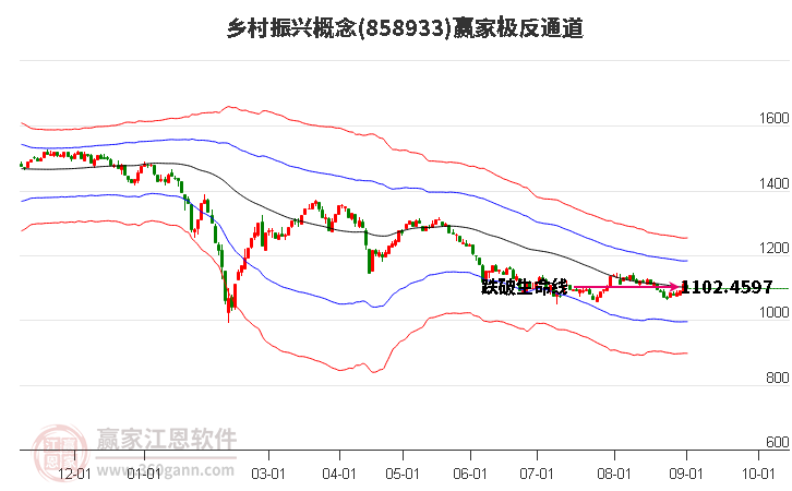 858933乡村振兴赢家极反通道工具