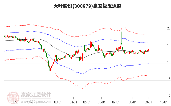 300879大叶股份赢家极反通道工具