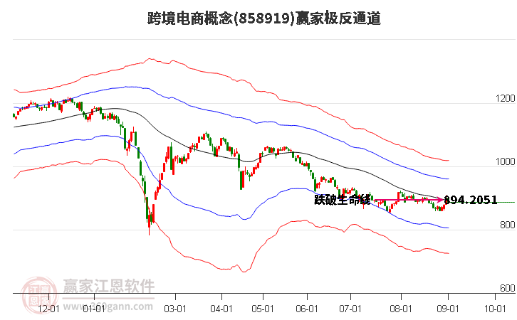 858919跨境电商赢家极反通道工具