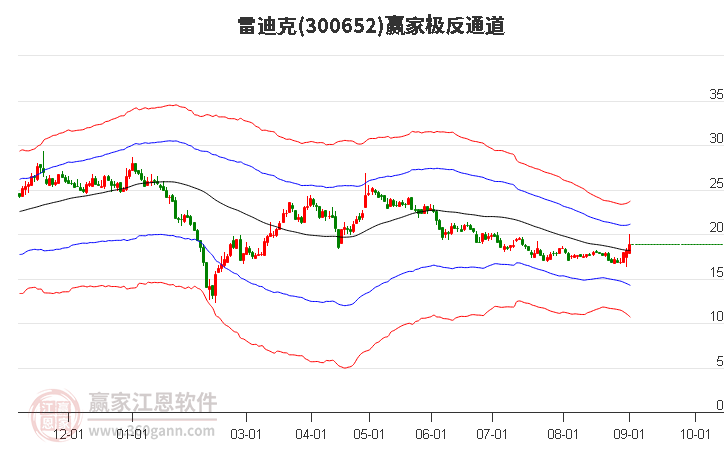 300652雷迪克赢家极反通道工具