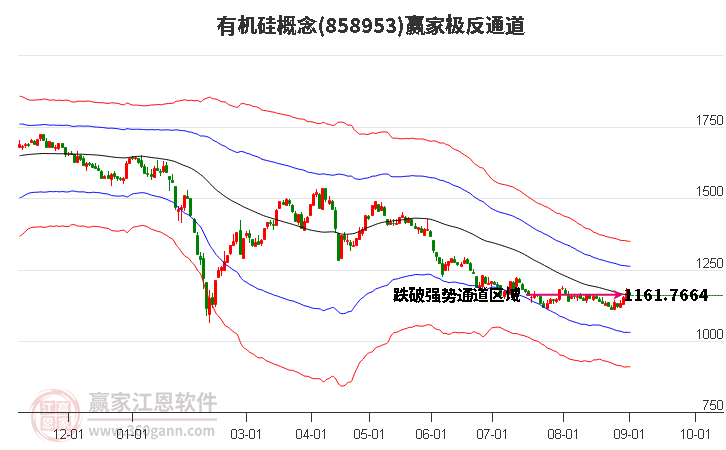 858953有机硅赢家极反通道工具