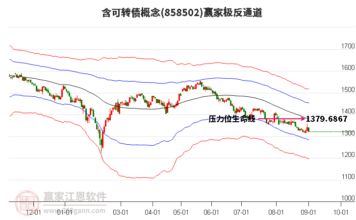 858502含可转债赢家极反通道工具