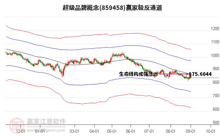 859458超级品牌赢家极反通道工具