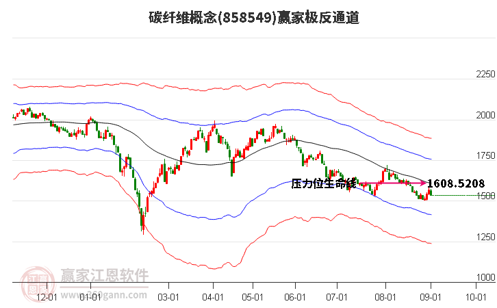 858549碳纤维赢家极反通道工具