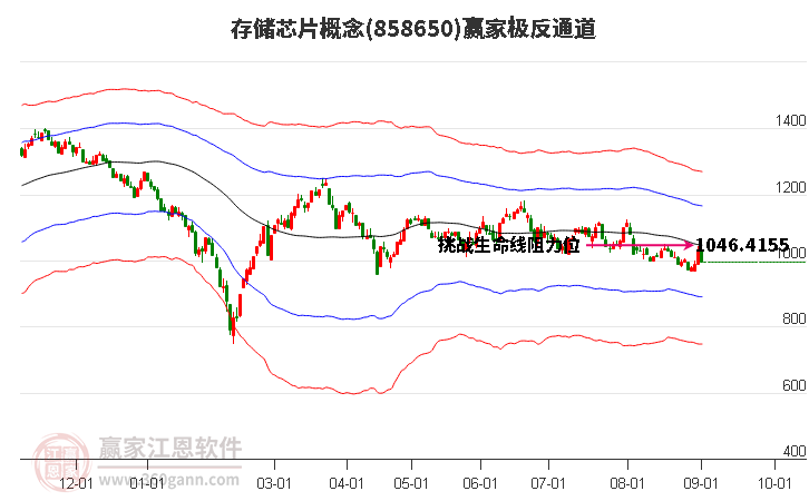 858650存储芯片赢家极反通道工具