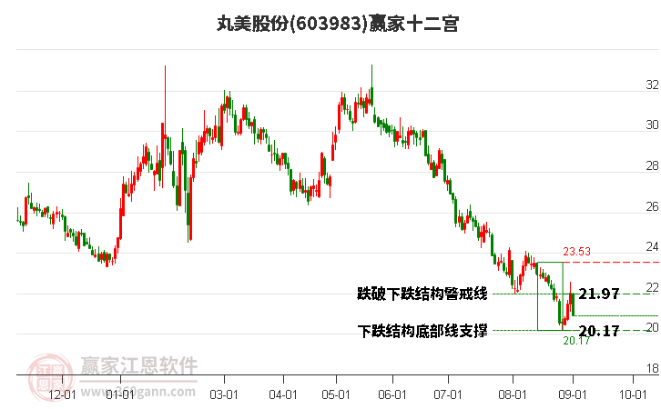 603983丸美股份贏家十二宮工具