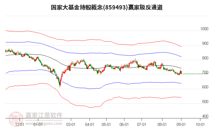 859493国家大基金持股赢家极反通道工具