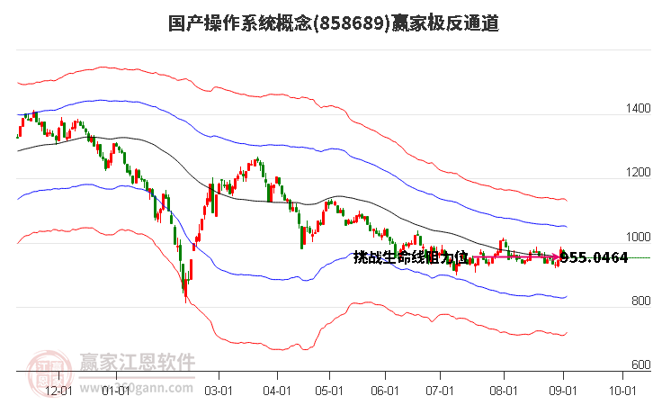 858689国产操作系统赢家极反通道工具