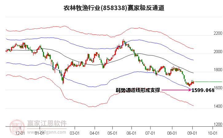 858338农林牧渔赢家极反通道工具