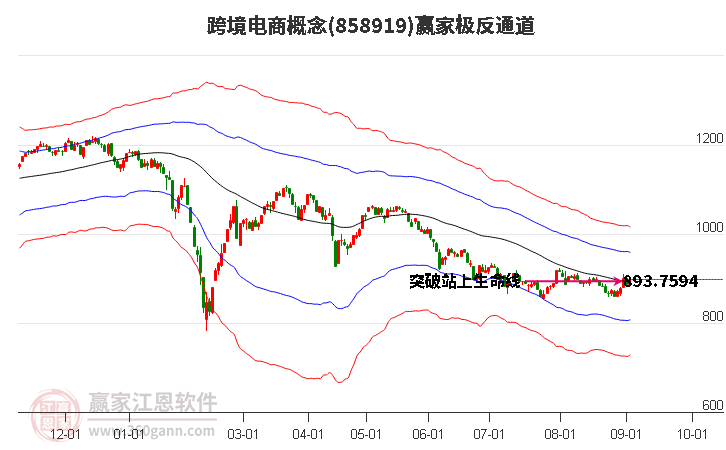 858919跨境电商赢家极反通道工具